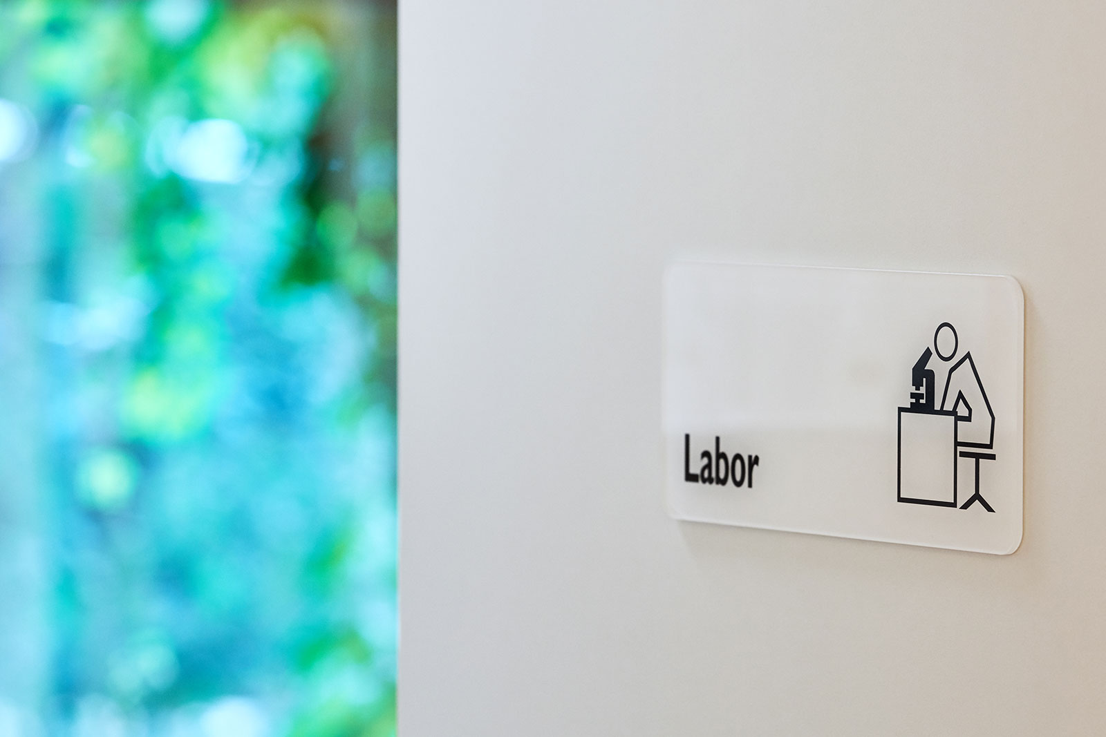 Labor